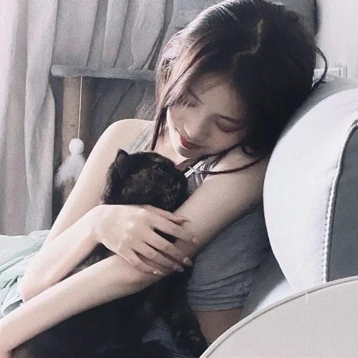 罪网